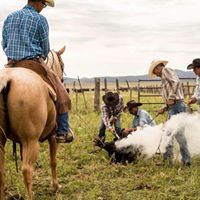 The Legacy Ranch Horse Sale