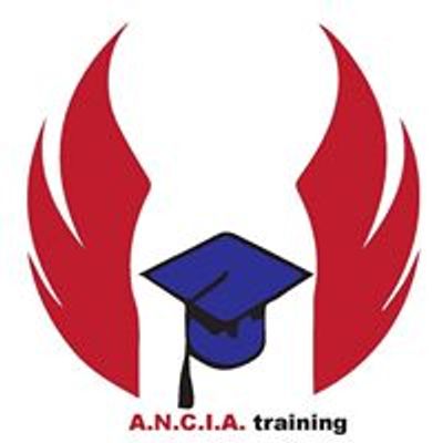 ANCIA training - Academia Nationala de Control Intern si Achizitii