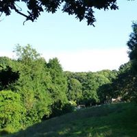 Friends of Lincombe Barn Park and Woods