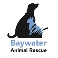 Baywater Animal Rescue