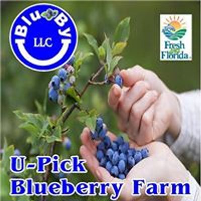 Blu By U  Blueberry Farm
