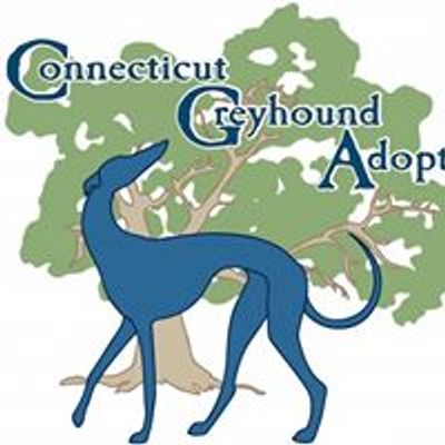 Connecticut Greyhound Adoption - affiliate of GPA