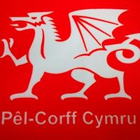 Welsh Korfball - P\u00eal-Corff Cymru