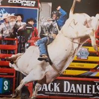 Castle Rock Bull Riding