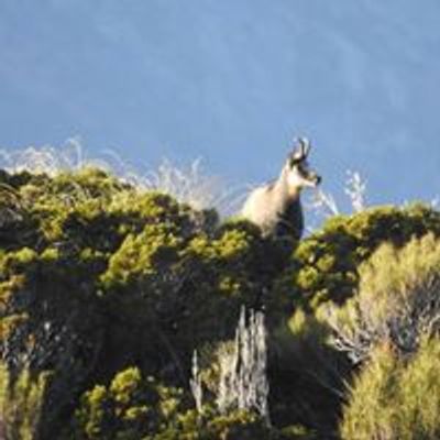 New Zealand Deerstalkers Waikato Branch-inc