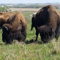 Friends of Blue Mounds State Park