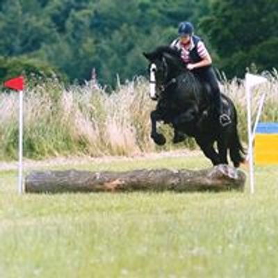 Louisa Gaunt Equine Services & Livery