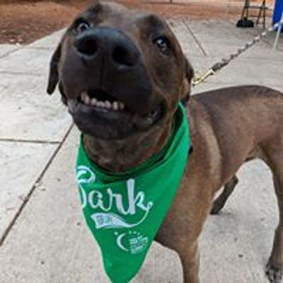 Clark County Bark For Life