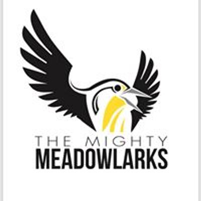 Meadowlark Elementary PTA