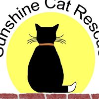 The sunshine cat rescue