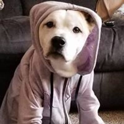 Arrow's Heart Animal Rescue