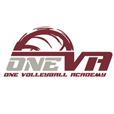 ONE Volleyball Academy