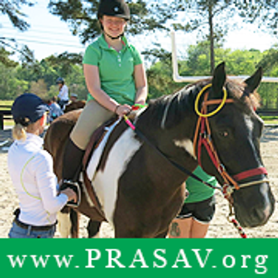 Pegasus Riding Academy Savannah