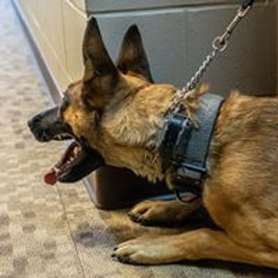 Georgia Police K9 Foundation