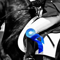 Horse Shows of Central and Southern WI