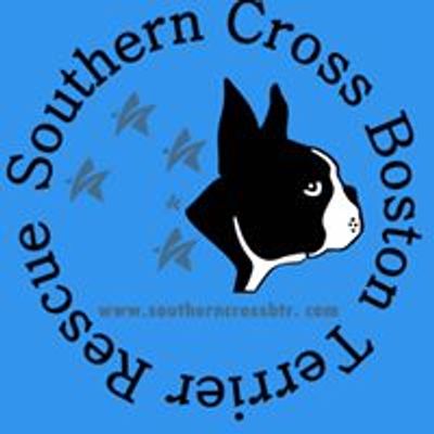 Southern Cross Boston Terrier Rescue