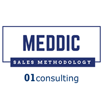 Sales: Meddic Methodolgy