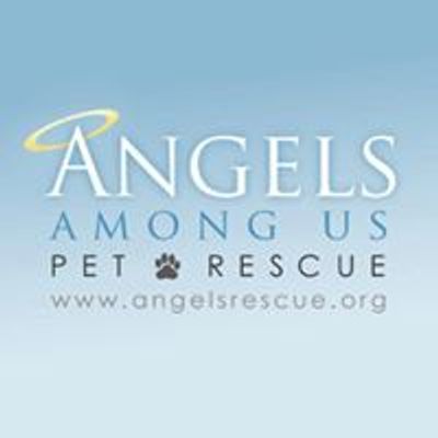 Angels Among Us Pet Rescue - CATS