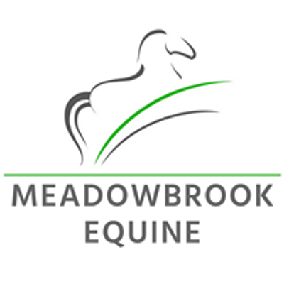 Meadowbrook Equine Therapy