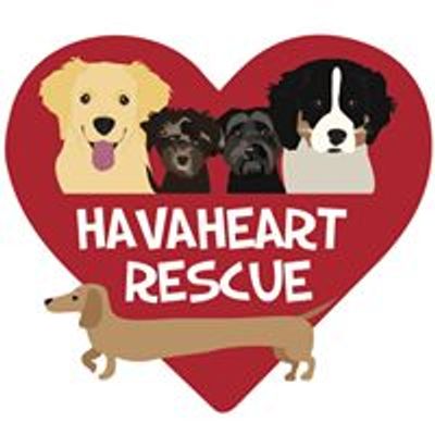 HavaHeart Havanese and Furry Buddies Rescue