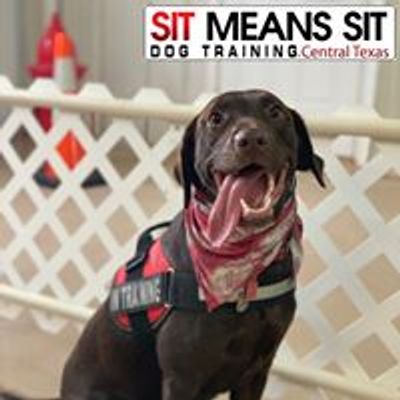 Sit Means Sit Dog Training Central Texas