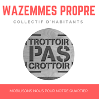 Wazemmes Propre