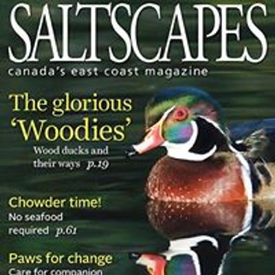 Saltscapes Magazine