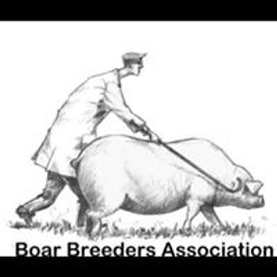 BOAR Breeders Association