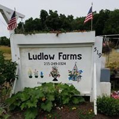 Ludlow Farms