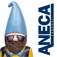 ANECA Federal Credit Union