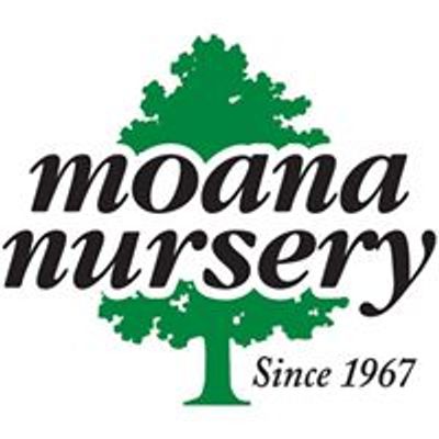 Moana Nursery