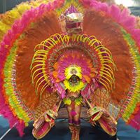 Caribbean American Carnival Association of Boston