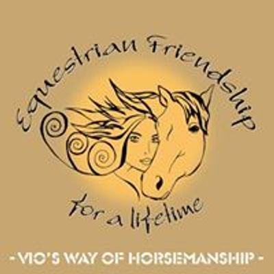 Equestrian Friendship - Horsemanship and Westerntraining