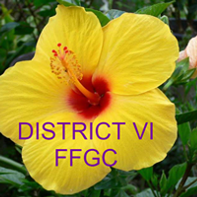 District VI of Florida Federation of Garden Clubs