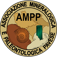 Associazione Mineralogica e Paleontologica Pavese - AMPP