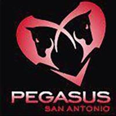 PEGASUS NIGHTCLUB SAN ANTONIO