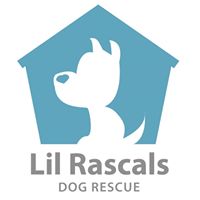 Lil Rascals Dog Rescue