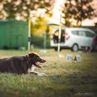 Agility Praha