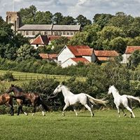 Wingfield Barns