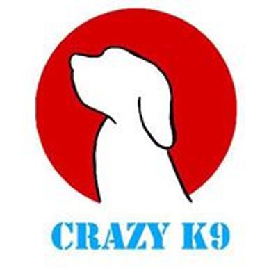 Crazy K9 Fun dog shows