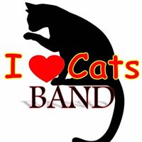 I Heart Cats Band