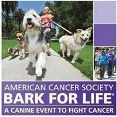 Bark For Life of Albany-Colonie