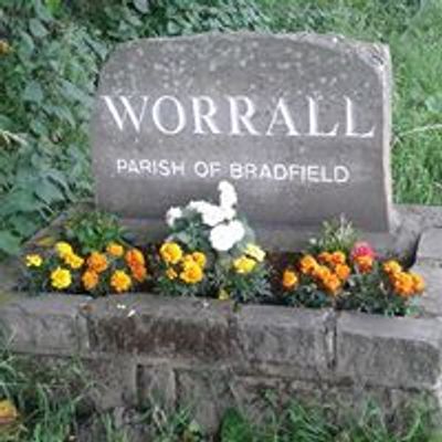 Worrall Environmental Group