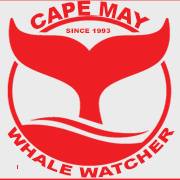 Cape May Whale Watcher