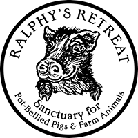 Ralphy's Retreat: Sanctuary for Pot-Bellied Pigs and Farm Animals