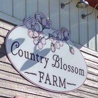 Country Blossom Farm, LLC.