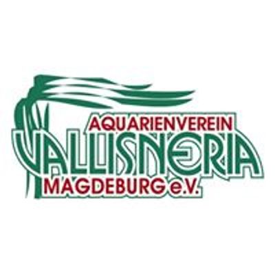 Aquarienverein Vallisneria Magdeburg e.V.