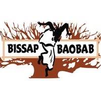 Bissap Baobab Village