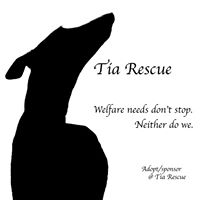 Tia Greyhound and Lurcher Rescue