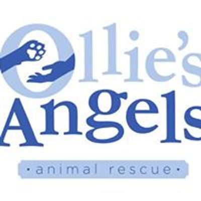 Ollie's Angels Animal Rescue